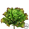 Vickerman 9" Artificial Green and Brown Big Romaine Stem, Set of 3 Image 3