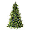 Vickerman 9' Jersey Fraser Fir Artificial Christmas Tree, LED Color Changing Coaxial Connect Mini Lights Image 1