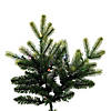 Vickerman 9' Jersey Fraser Fir Artificial Christmas Tree, LED Color Changing Coaxial Connect Mini Lights Image 2