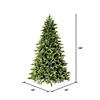 Vickerman 9' Jersey Fraser Fir Artificial Christmas Tree, LED Color Changing Coaxial Connect Mini Lights Image 4