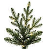 Vickerman 9' North Shore Fraser Fir Artificial Christmas Tree, Dura-Lit&#174; LED Warm White Mini Lights Image 2