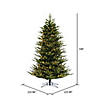 Vickerman 9' North Shore Fraser Fir Artificial Christmas Tree, Dura-Lit&#174; LED Warm White Mini Lights Image 3