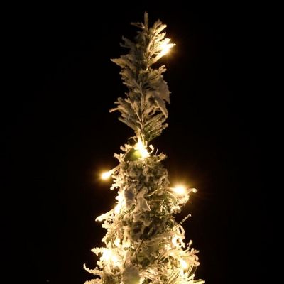 vidaXL Artificial Christmas Tree Pop-up Flocked Snow 200 LEDs 82.7" Image 2