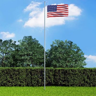 vidaXL US Flag 35.4"x59.1" Image 1