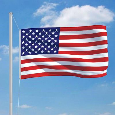 vidaXL US Flag 35.4"x59.1" Image 2