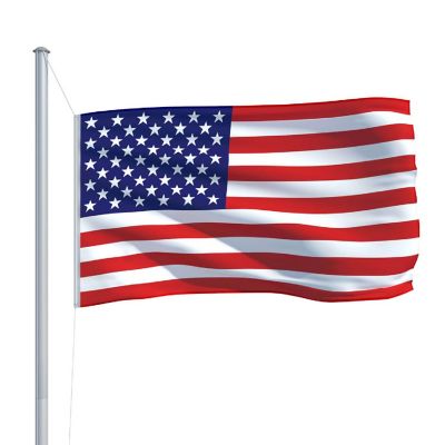 vidaXL US Flag 35.4"x59.1" Image 3