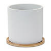 White Stone Planter With Wood Plate (Set Of 2) 4.5"D X 4.25"H, 6.5"D X 6"H Cement Image 1