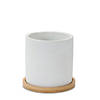 White Stone Planter With Wood Plate (Set Of 2) 4.5"D X 4.25"H, 6.5"D X 6"H Cement Image 2