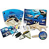 WILD! Science Extreme Science Kit, Sharks of the World Image 2