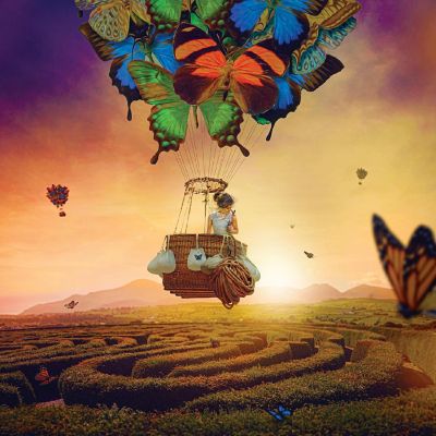 Windsome Wanderer Butterfly Puzzle By Tara Lesher  500 Piece Jigsaw Puzzle Image 1