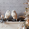 Winter Owl Decor (Set Fo 2) 12.5"H Foam Image 4