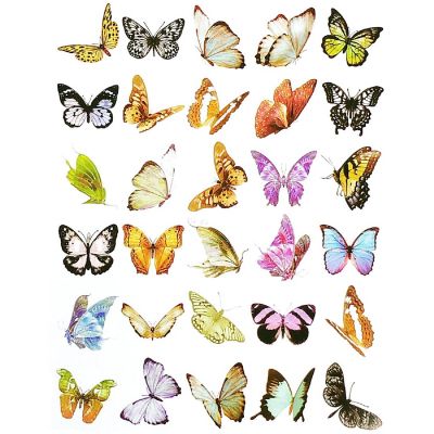 Wrapables Decorative Scrapbooking Washi Stickers (60 pcs), Butterflies Image 1