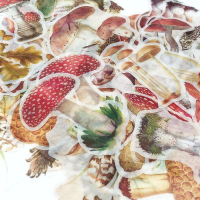 Wrapables Decorative Scrapbooking Washi Stickers (60 pcs), Mushrooms Image 3