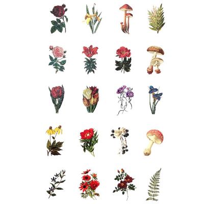 Wrapables Decorative Scrapbooking Washi Stickers (60 pcs), Spring Flowers Image 1