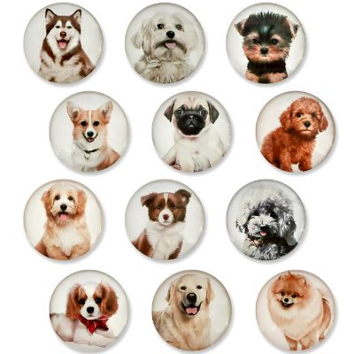 Wrapables Dogs Crystal Glass Magnets, Refrigerator Magnets (Set of 12) Image 1
