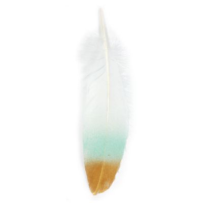 Wrapables Gold Dipped Feathers, Bohemian Decorations, Teal Image 1