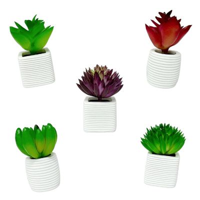 Wrapables Succulent 3D Resin Fridge Magnets, Succulents Refrigerator Magnets (Set of 5) Image 1