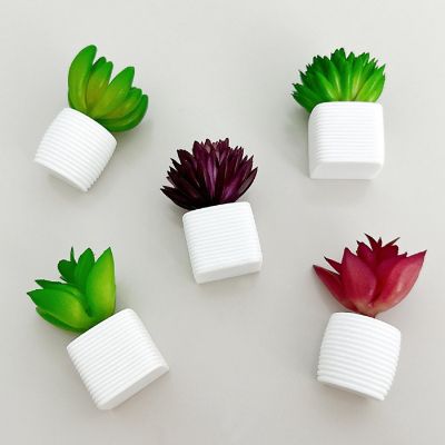 Wrapables Succulent 3D Resin Fridge Magnets, Succulents Refrigerator Magnets (Set of 5) Image 1