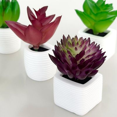 Wrapables Succulent 3D Resin Fridge Magnets, Succulents Refrigerator Magnets (Set of 5) Image 2