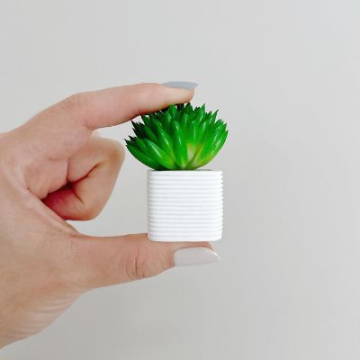 Wrapables Succulent 3D Resin Fridge Magnets, Succulents Refrigerator Magnets (Set of 5) Image 3