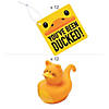 You've Been Ducked Cat Kit for 12 Image 1