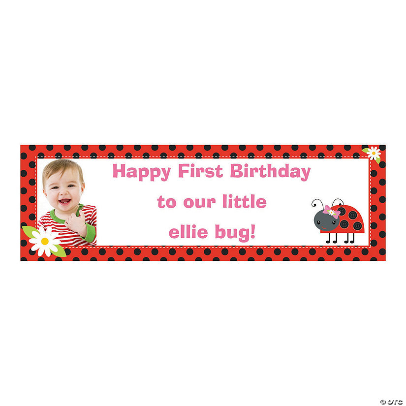 Ladybug Party Photo Custom Banner - Medium Image
