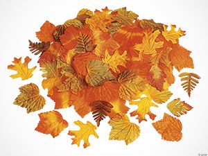 Fall