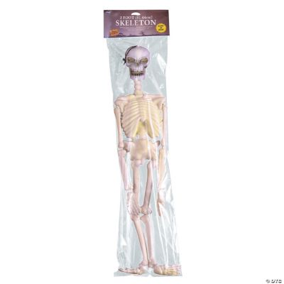 3 ft. Glow in the Dark Skeleton