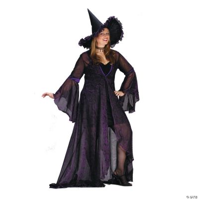 Witch Shimmering Rose Purple Adult Women’s Costume