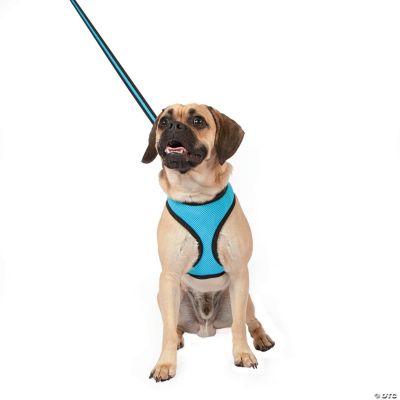 Mesh Dog Lead - Blue