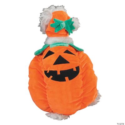 PUMPKIN POOCH COSTUME - LG