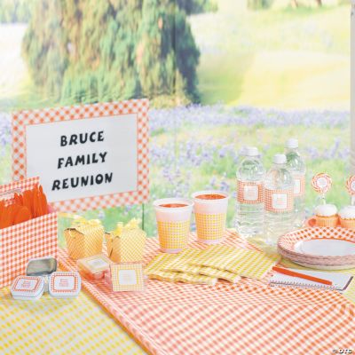Gingham Party Supplies