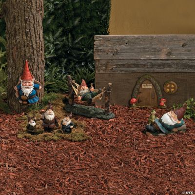 Home for A Gnome