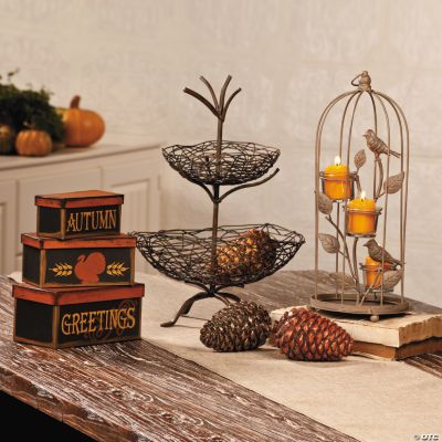 Bird Cage & Autumn Display