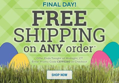 Final Day! Free Shipping on Any Order*