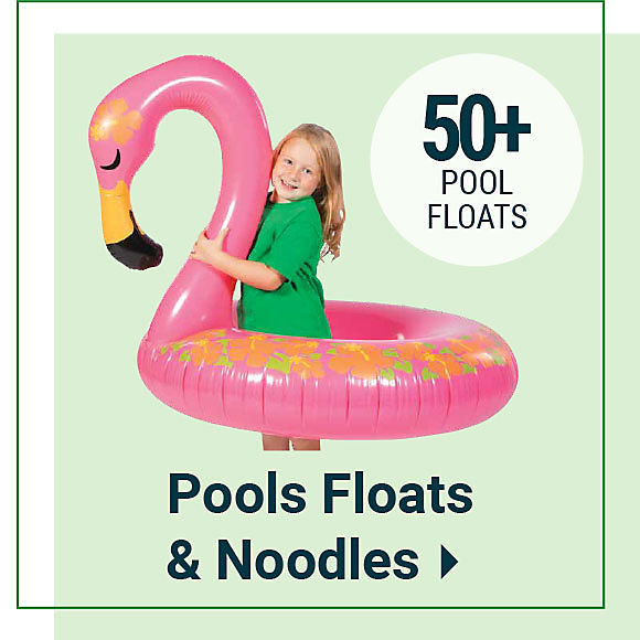 Pool Floats and Noodles