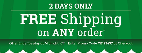 Two Days Only - Free Shipping on Any Order!