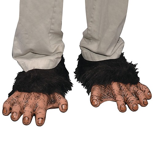Featured Image for Chimp Feet