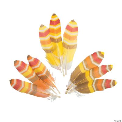 Fall Painted Feathers Discontinued   13657744