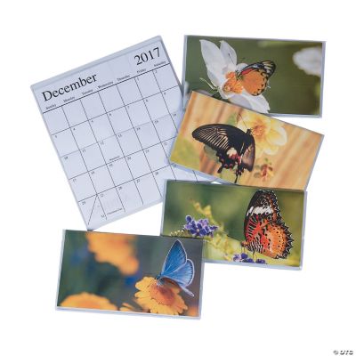 2017 2018 Butterfly Pocket Calendars Discontinued