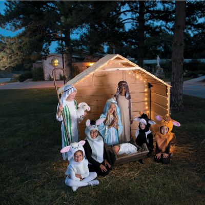 Nativity Pageant Accessories, costumes, props