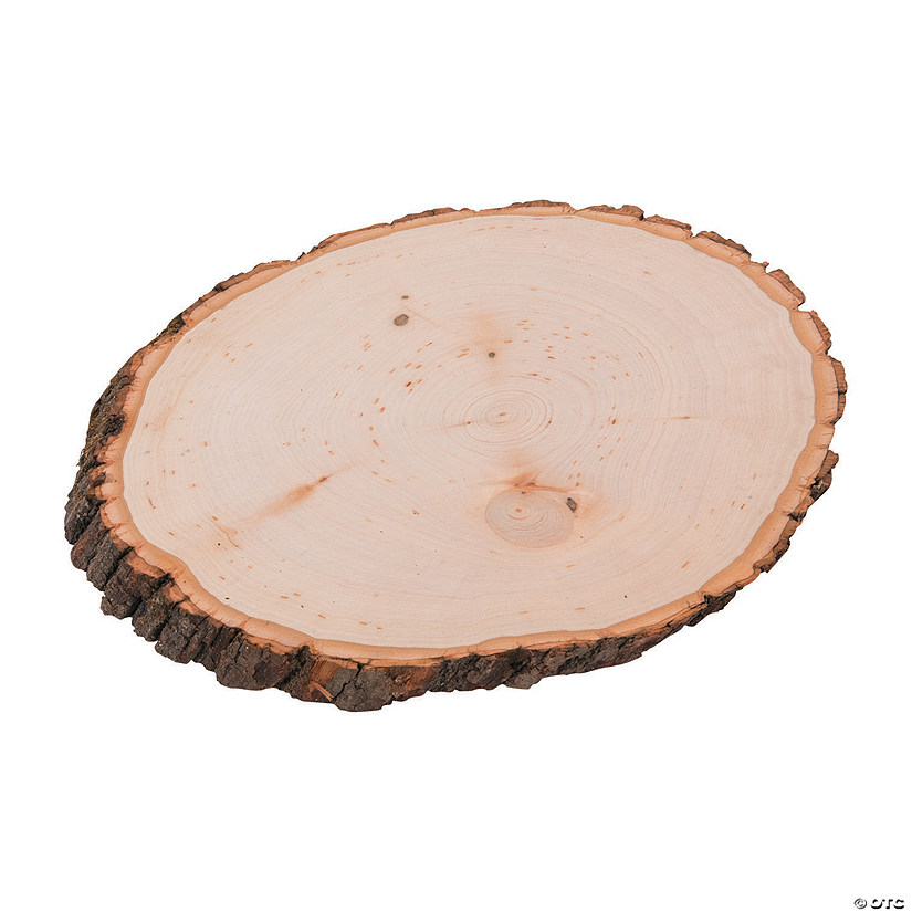 Large Round Wood Slice Centerpiece, Round Piece Of Wood
