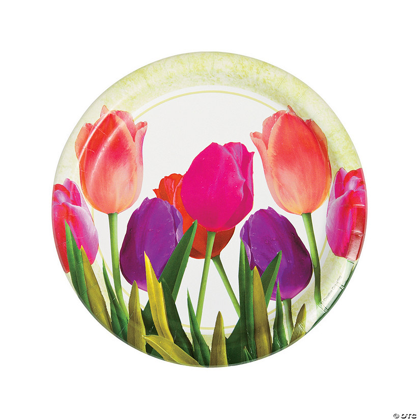 Spring In Bloom Dinner Plates 8 Ct Discontinued