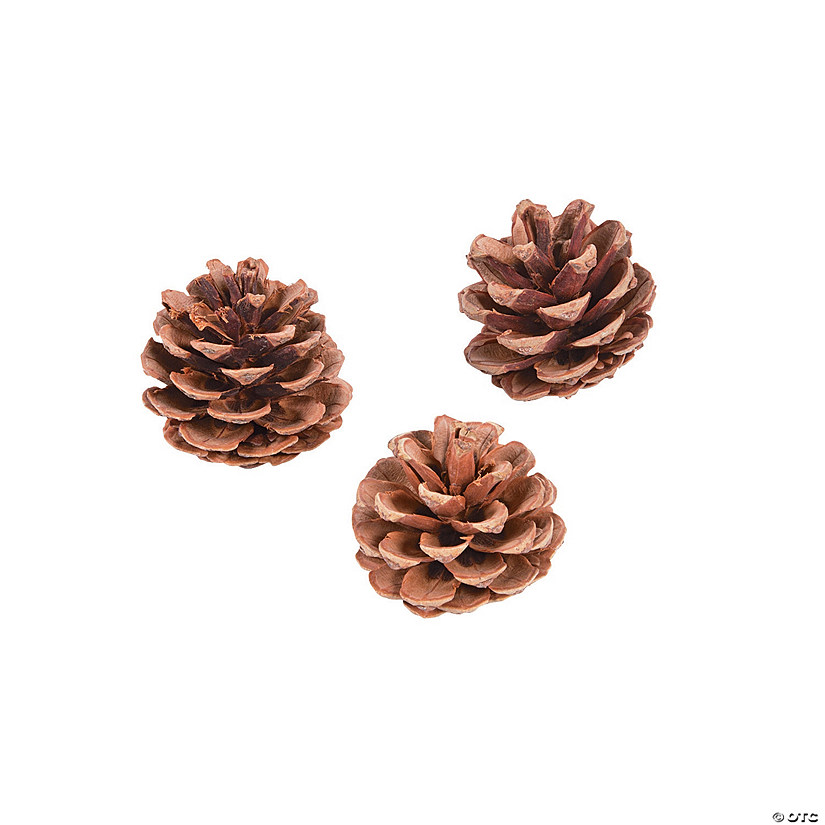 Mini White Washed Natural Pinecones 