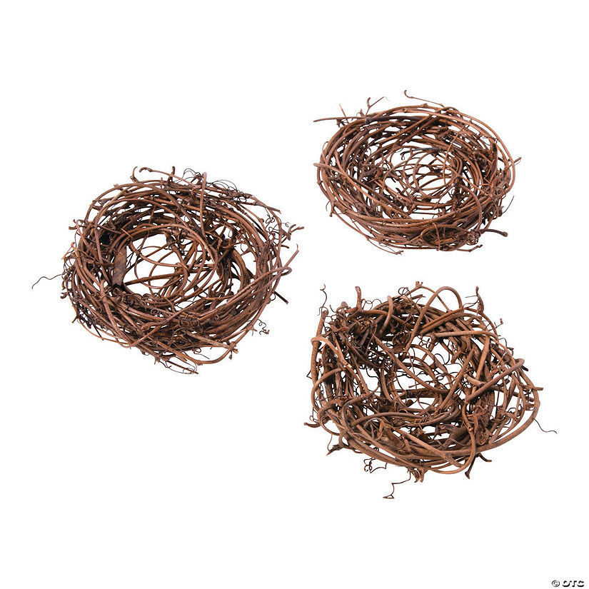 Small Twig Bird S Nests