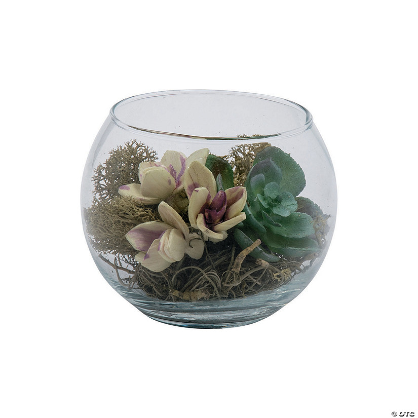 Small Round Glass Vase With Succulents, Small Round Flower Vase