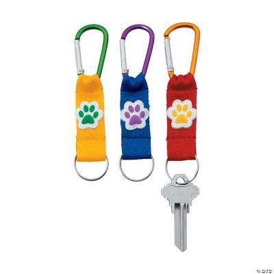 Carabiner Keychains in Assorted Shapes