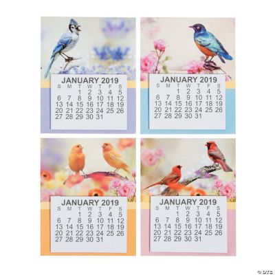 2019 Large Print Bird Calendar Oriental Trading