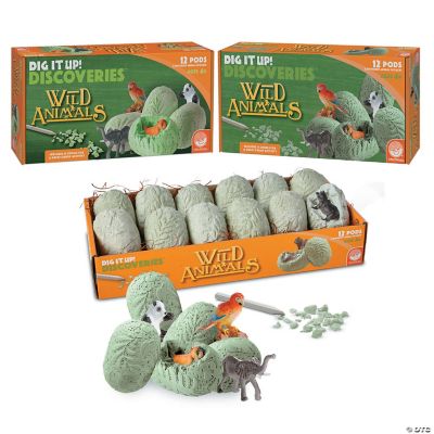 wild animal set