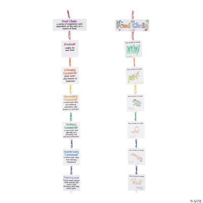 Food Chain Linking Craft Kit Makes 12 Oriental Trading